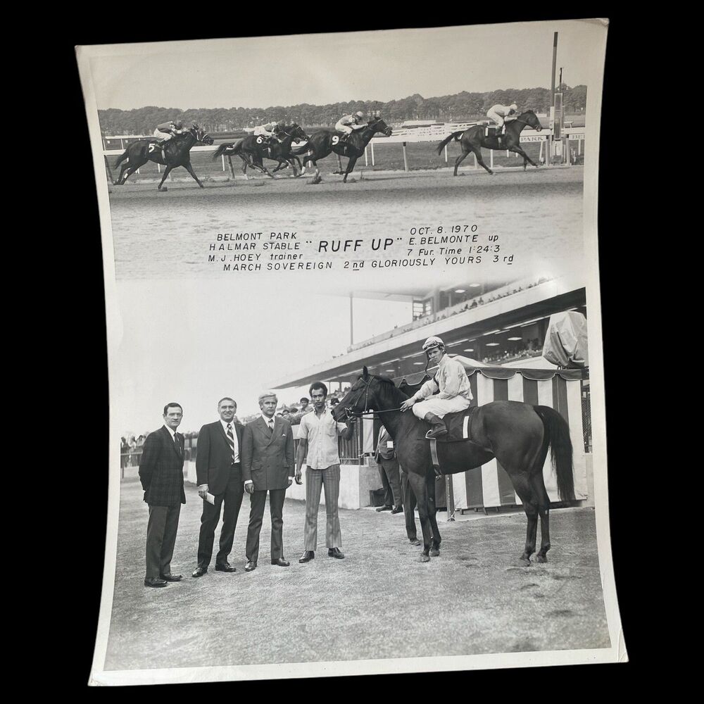 Vintage 1970 Belmont Park Horse Racing Photo Ruff Up Winner’s Circle